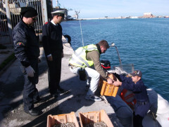 Operazione della Guardia Costiera: controlli sulla filiera del pescato, multe e sequestri