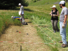 Il gruppo di UNICAM, membro italiano del network, ha svolto le attività di ricerca presso la Riserva Naturale Statale "Montagna di Torricchio", un vero e proprio "laboratorio di ricerca all'aperto"