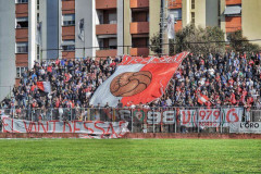 tifosi Vis Pesaro