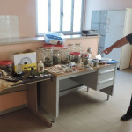 La marijuana sequestrata dai Carabinieri a Porto Potenza Picena