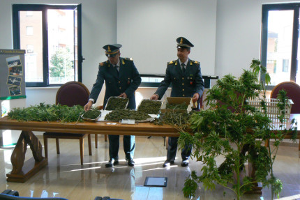 L'arresto e il sequestro di marijuana ad Appignano da parte della Guardia di Finanza