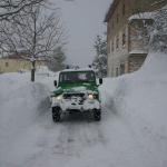 Interventi dei Carabinieri Forestali