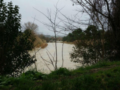 Fiume Misa a Senigallia