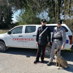 Unità Cinofila a Montarice di Porto Recanati