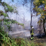 Incendio a Falconara