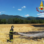 Incendio in un campo di orzo a Pezze