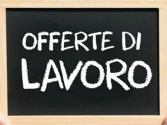 Lavoro, offerte di lavoro