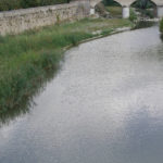 Fiume Metauro