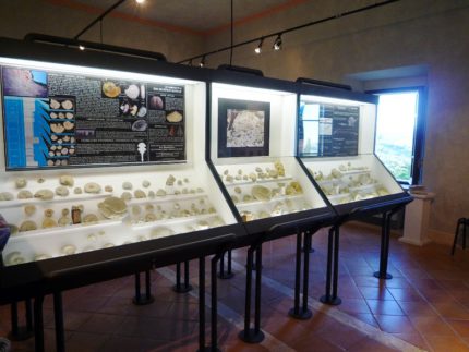 Museo archeologico di San Severino Marche