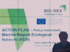 Progetto Interreg Bid Rex a Lubiana