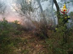 Incendio a Serra San Quirico, a fuoco la vegetazione