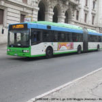 autobus, trasporto pubblico locale ad Ancona