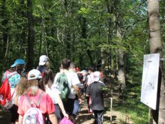 Percorso natura a Collevario