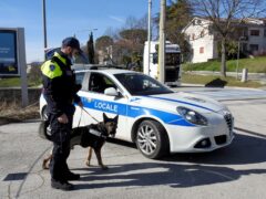 Unità cinofila in azione a Tolentino