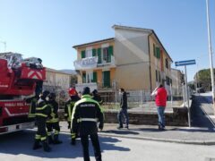 Cane aggredisce due donne a San Severino