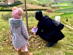 Festa dell'albero a Montelupone