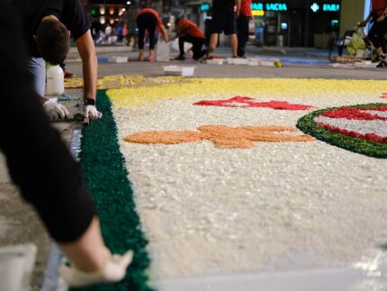 Infiorata a Castelraimondo