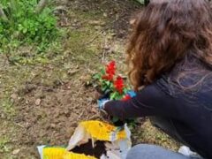 "Giardino che cura" a San Severino