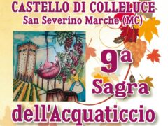 Locandina della 9° Sagra dell'Acquaticcio