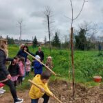 Festa dell'Albero a Tolentino