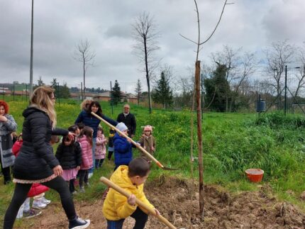 Festa dell'Albero a Tolentino