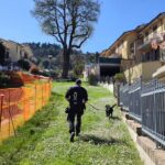 Cinofili dei Carabinieri Forestali a San Severino