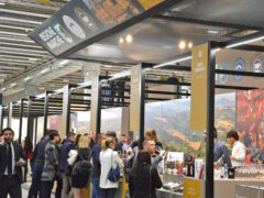 Stand Regione Marche a Vinitaly 2023