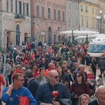 "Svicola-Recanati"