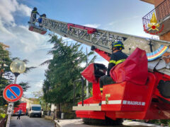 Vigili del Fuoco: taglio albero pericolante a Barbara