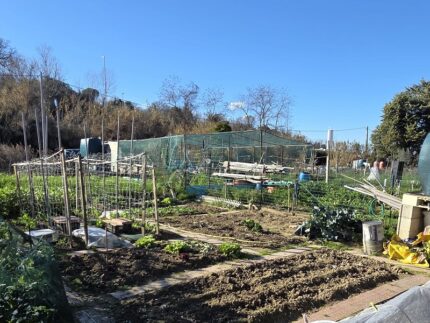 Orti sociali di Fontezucca