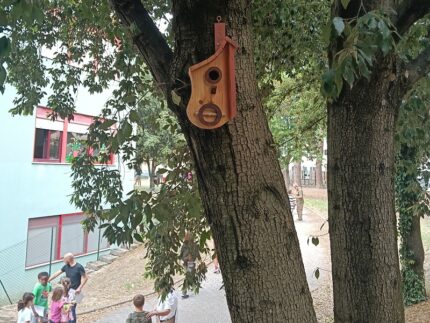Nidi per uccelli posizionati vicino alle scuole di Macerata