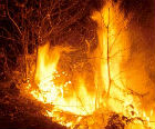 Incendio