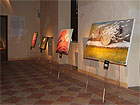 "Omaggio dell'arte alla libertà di espressione", mostra inaugurata a Caldarola
