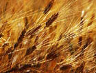 PAC agricoltura TVRS convengo abbadia di fiastra
