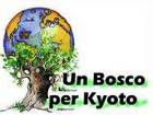 Un bosco per Kyoto