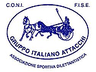 Gruppo italiano attacchi
