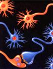 Neuropatie