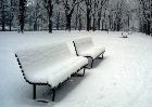 Neve