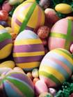 Pasqua