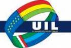 Uil