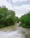 Fiume