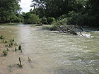 Fiume Chienti (loc. Ributino di Tolentino)